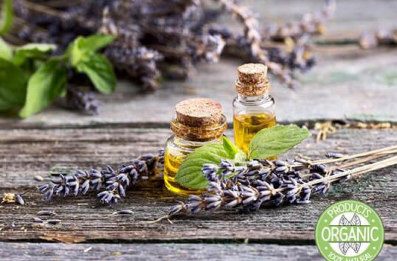 Dugo Selo - dugoselo.info - Florihana - Organska eterična ulja i hidrolati - BIO TERRA