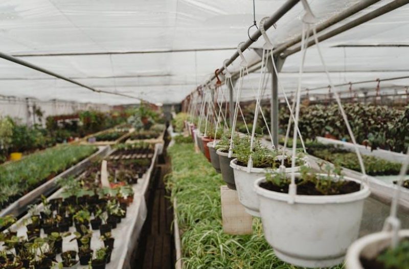 Dugo Selo - dugoselo.info - Zagrebačka županija poljoprivrednicima stavlja na raspolaganje gotovo 1,5 milijuna eura bespovratnih potpora