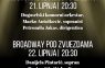 Dugo Selo - dugoselo.info - Dvije glazbene večeri „Pod zvjezdanim nebom“ na drvenom mostu u Lonjici
