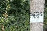 Dugo Selo - dugoselo.info - Kako brzo i jednostavno prijaviti komunalne probleme u Dugom Selu